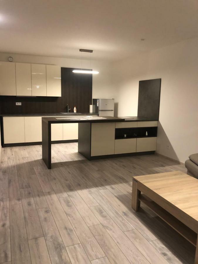 Garden Apartman Radnica - Private Parking Included 科希策 外观 照片